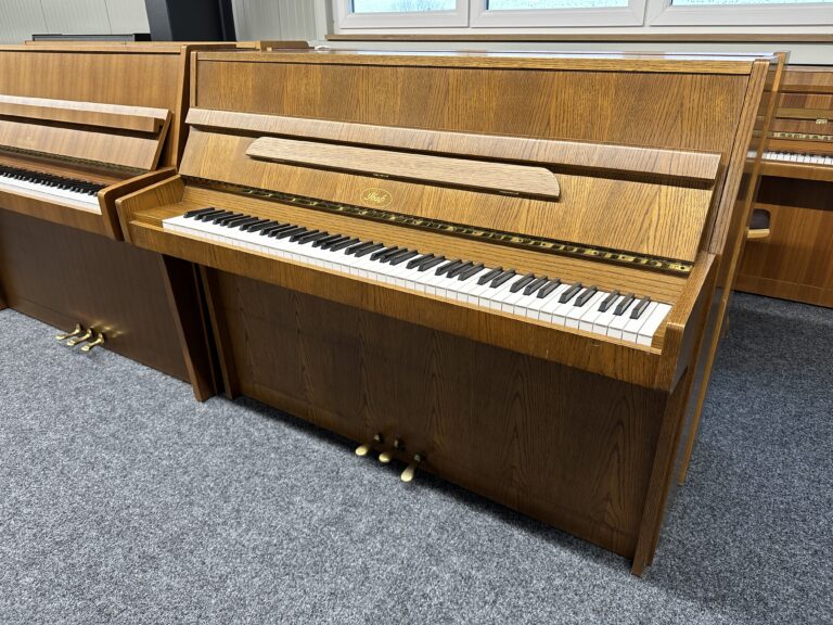 Ibach Mod. 110