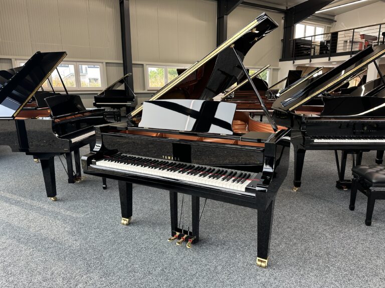 Yamaha C6X