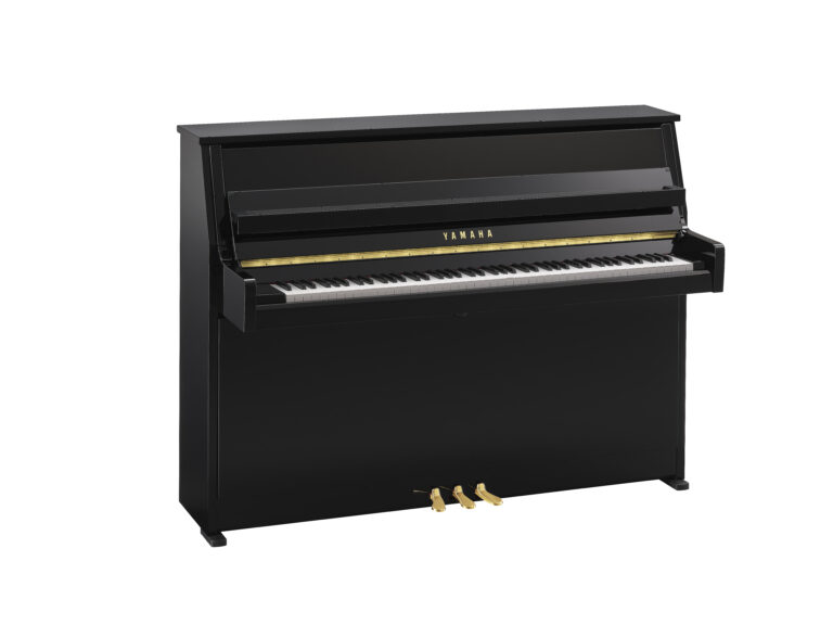 Yamaha B10