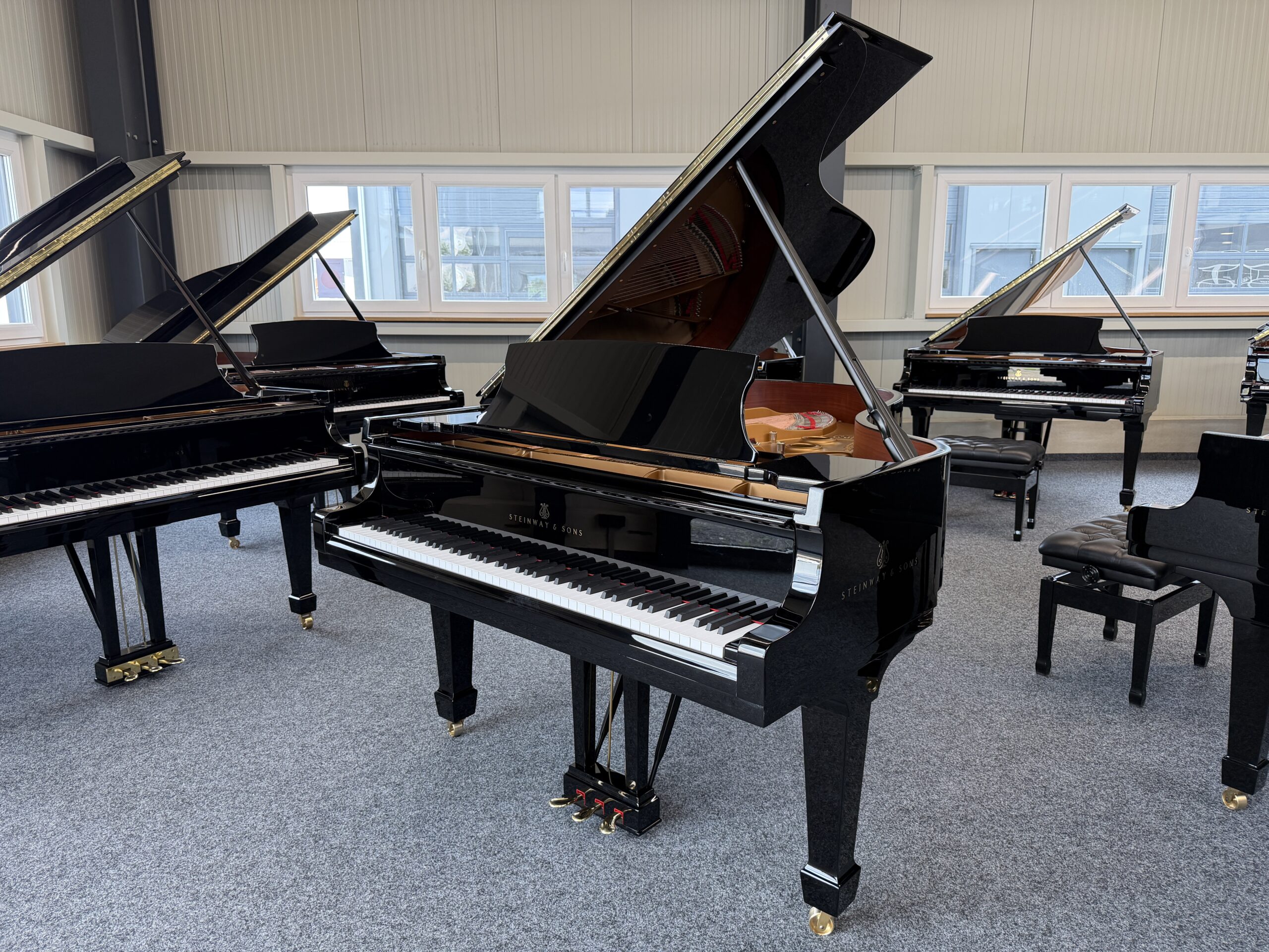 Steinway & Sons A3-195